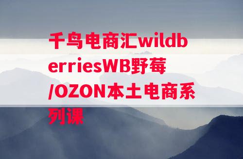 千鸟电商汇wildberriesWB野莓/OZON本土电商系列课