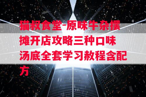 猫叔食堂-原味牛杂摆摊开店攻略三种口味 汤底全套学习赦程含配方