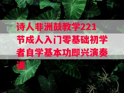 诗人非洲鼓教学221节成人入门零基础初学者自学基本功即兴演奏课