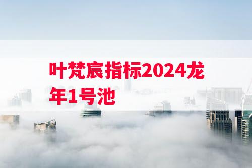 叶梵宸指标2024龙年1号池