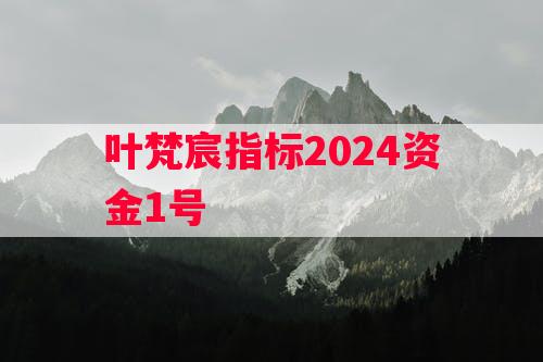 叶梵宸指标2024资金1号