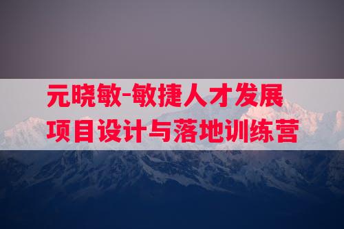 元晓敏-敏捷人才发展项目设计与落地训练营