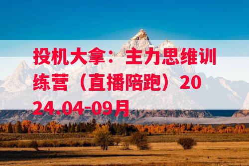 投机大拿：主力思维训练营（直播陪跑）2024.04-09月