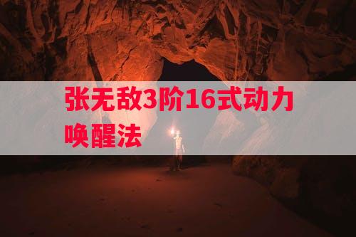 张无敌3阶16式动力唤醒法