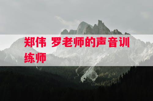 郑伟 罗老师的声音训练师